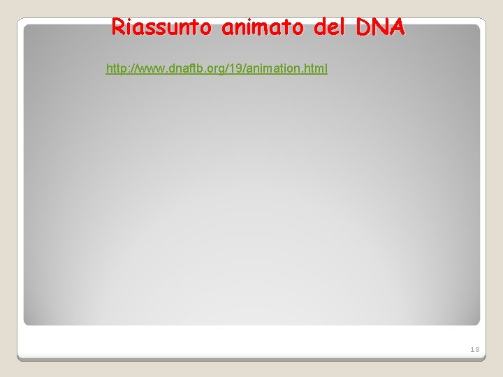 Riassunto animato del DNA http: //www. dnaftb. org/19/animation. html 18 