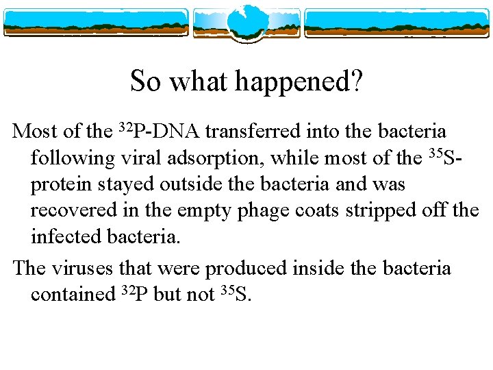 So what happened? Most of the 32 P-DNA transferred into the bacteria following viral