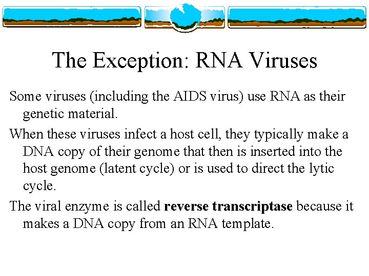 The Exception: RNA Viruses Some viruses (including the AIDS virus) use RNA as their