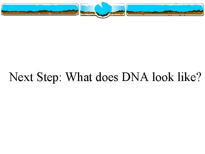 Next Step: What does DNA look like? 