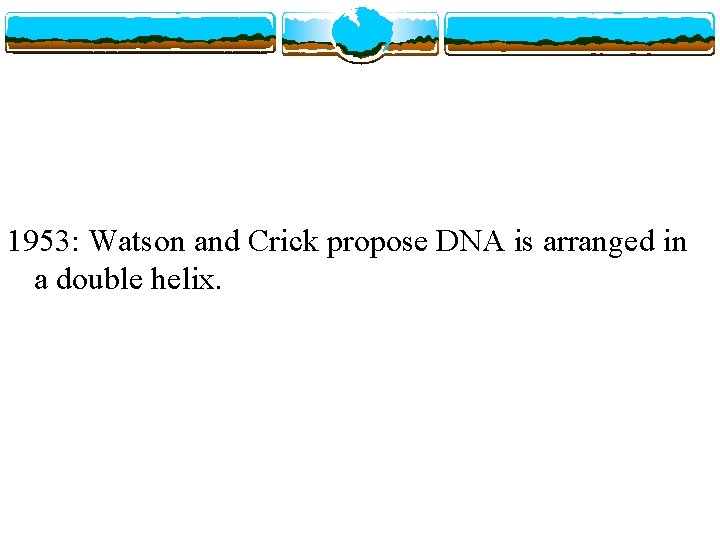 1953: Watson and Crick propose DNA is arranged in a double helix. 