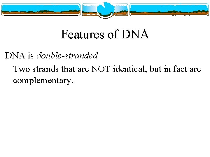 Features of DNA is double-stranded Two strands that are NOT identical, but in fact
