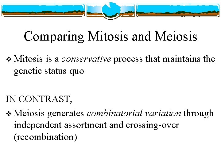 Comparing Mitosis and Meiosis v Mitosis is a conservative process that maintains the genetic