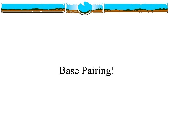 Base Pairing! 