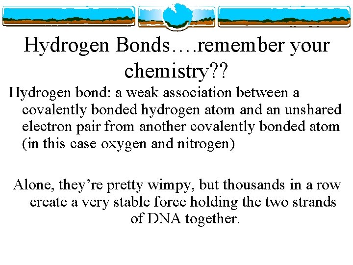 Hydrogen Bonds…. remember your chemistry? ? Hydrogen bond: a weak association between a covalently
