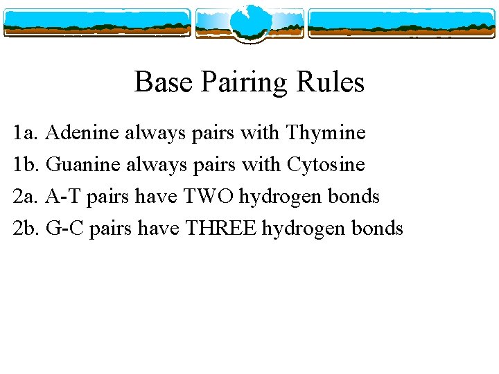 Base Pairing Rules 1 a. Adenine always pairs with Thymine 1 b. Guanine always