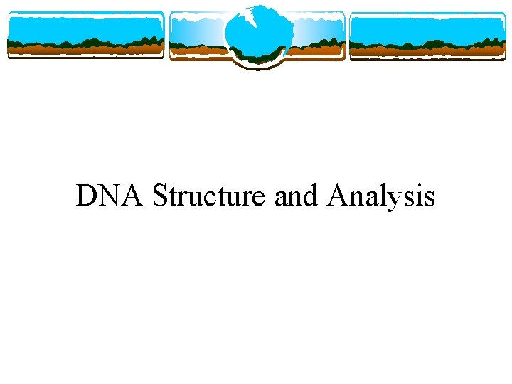 DNA Structure and Analysis 