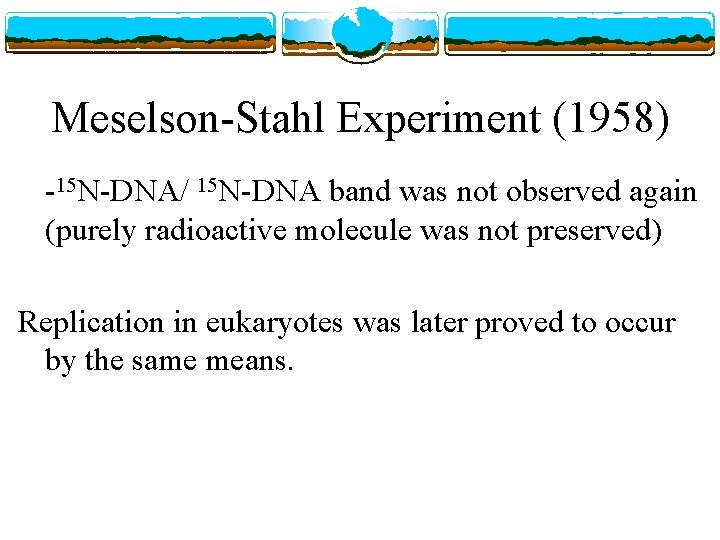 Meselson-Stahl Experiment (1958) -15 N-DNA/ 15 N-DNA band was not observed again (purely radioactive