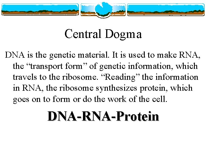 Central Dogma DNA is the genetic material. It is used to make RNA, the