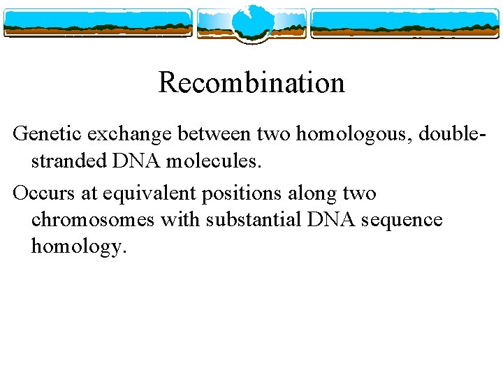 Recombination Genetic exchange between two homologous, doublestranded DNA molecules. Occurs at equivalent positions along