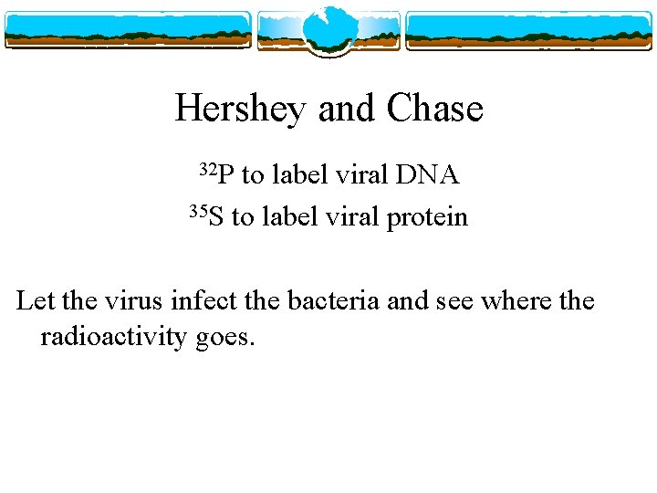 Hershey and Chase 32 P to label viral DNA 35 S to label viral