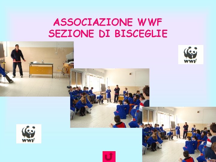 ASSOCIAZIONE WWF SEZIONE DI BISCEGLIE ASSOCIAZIONE WWF SEZIONE DI BISCEGLIE