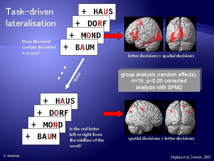 Task-driven lateralisation Does the word contain the letter A or not? • • •