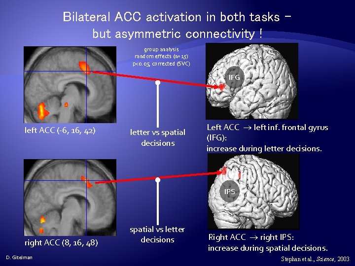 Bilateral ACC activation in both tasks – but asymmetric connectivity ! group analysis random