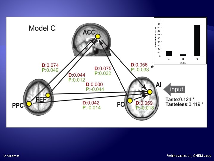 D. Gitelman Veldhuizen et al. , OHBM 2009 