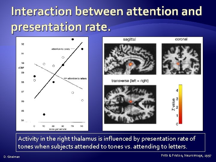 Interaction between attention and presentation rate. Activity in the right thalamus is influenced by