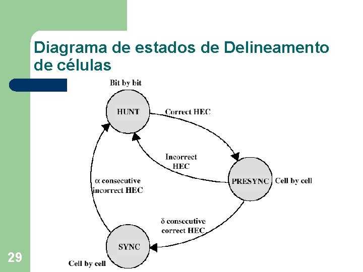 Diagrama de estados de Delineamento de células 29 