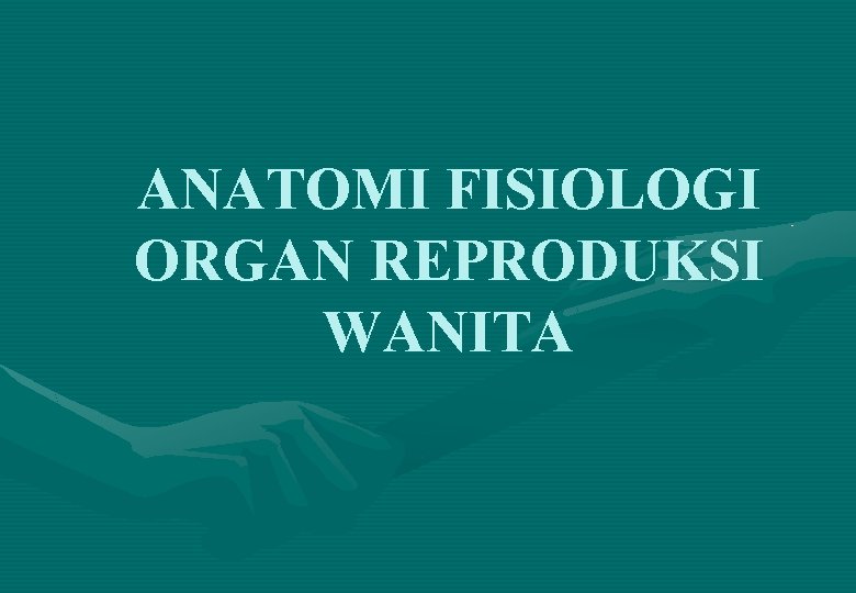 ANATOMI FISIOLOGI ORGAN REPRODUKSI WANITA 