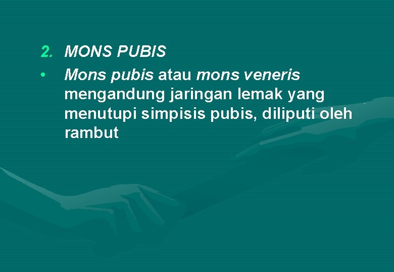 2. MONS PUBIS • Mons pubis atau mons veneris mengandung jaringan lemak yang menutupi