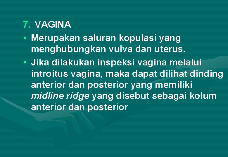 7. VAGINA • Merupakan saluran kopulasi yang menghubungkan vulva dan uterus. • Jika dilakukan