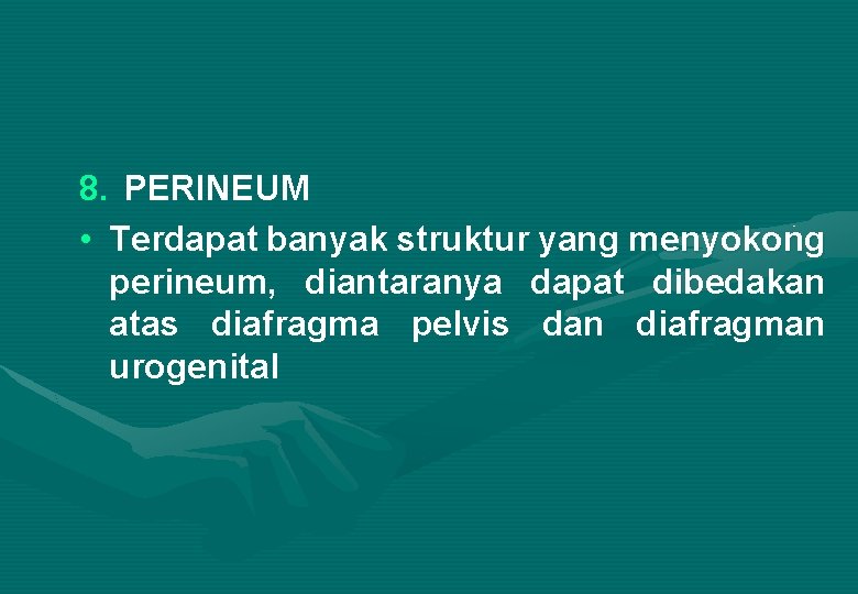 8. PERINEUM • Terdapat banyak struktur yang menyokong perineum, diantaranya dapat dibedakan atas diafragma