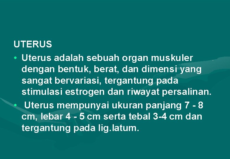 UTERUS • Uterus adalah sebuah organ muskuler dengan bentuk, berat, dan dimensi yang sangat