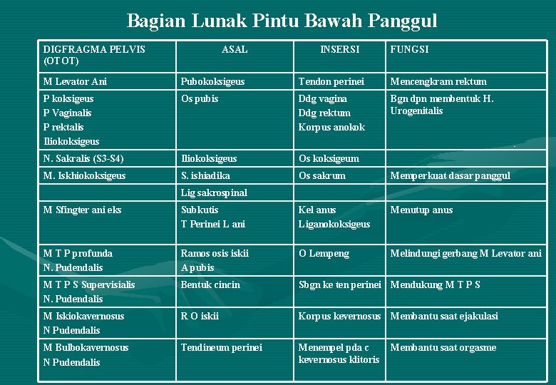 Bagian Lunak Pintu Bawah Panggul DIGFRAGMA PELVIS (OTOT) ASAL INSERSI FUNGSI M Levator Ani