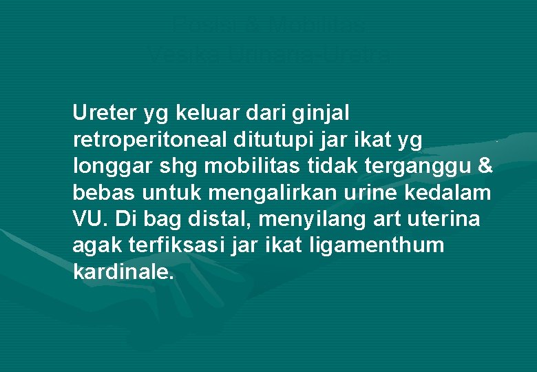 Posisi & Mobilitas Vesika Urinaria-Uretra Ureter yg keluar dari ginjal retroperitoneal ditutupi jar ikat