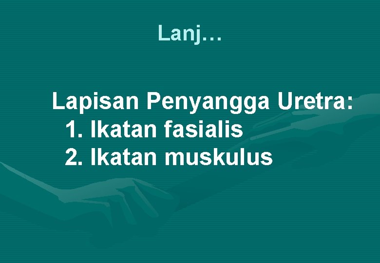 Lanj… Lapisan Penyangga Uretra: 1. Ikatan fasialis 2. Ikatan muskulus 