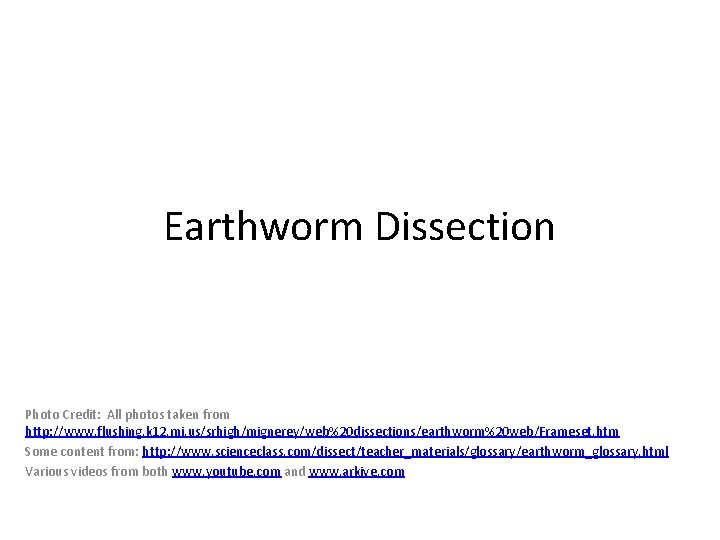 Earthworm Dissection Photo Credit: All photos taken from http: //www. flushing. k 12. mi.