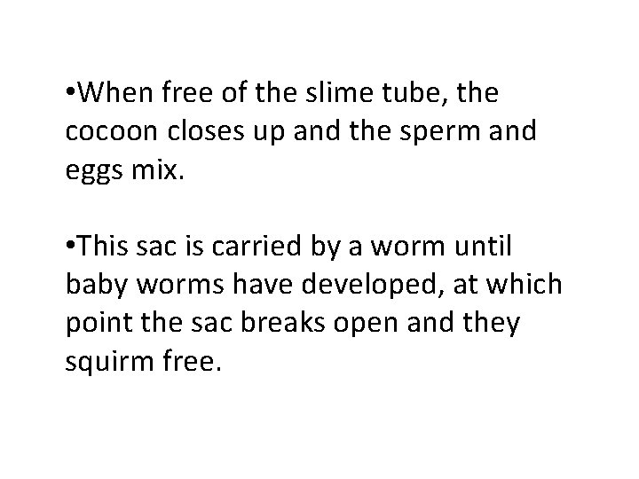  • When free of the slime tube, the cocoon closes up and the