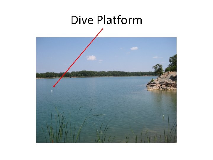 Dive Platform 