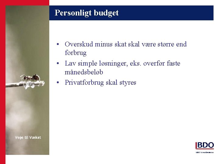 Personligt budget • Overskud minus skat skal være større end forbrug • Lav simple