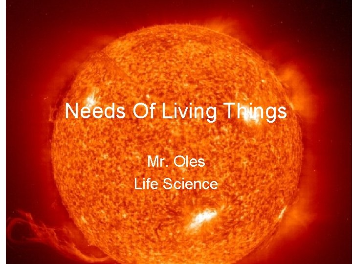 Needs Of Living Things Mr. Oles Life Science 