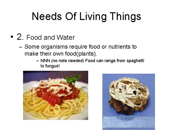 Needs Of Living Things • 2. Food and Water – Some organisms require food