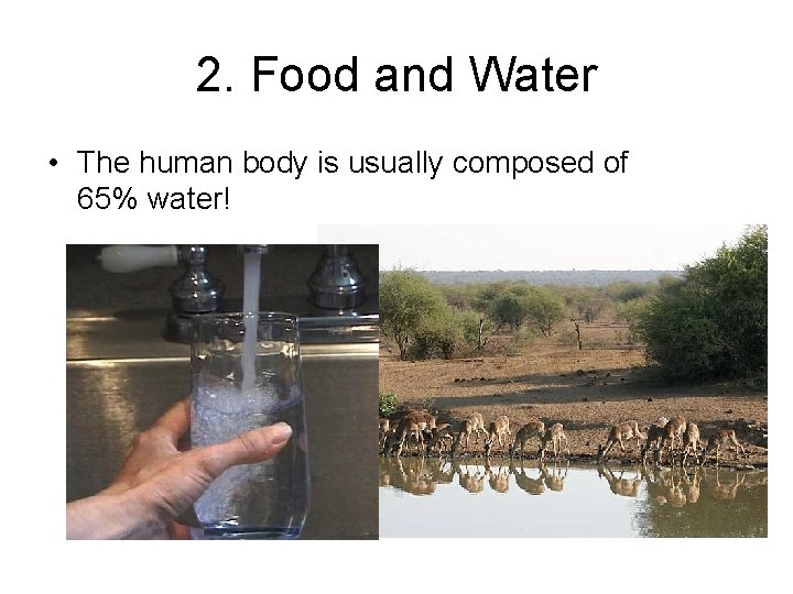 2. Food and Water • The human body is usually composed of 65% water!