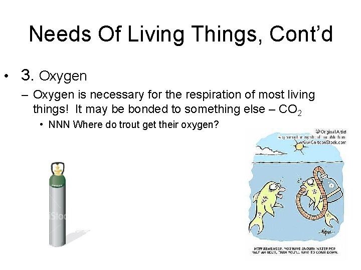 Needs Of Living Things, Cont’d • 3. Oxygen – Oxygen is necessary for the