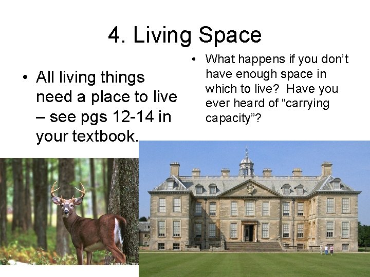 4. Living Space • All living things need a place to live – see