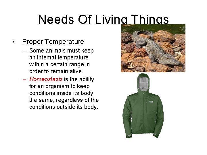 Needs Of Living Things • Proper Temperature – Some animals must keep an internal