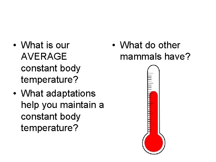  • What is our • What do other AVERAGE mammals have? constant body