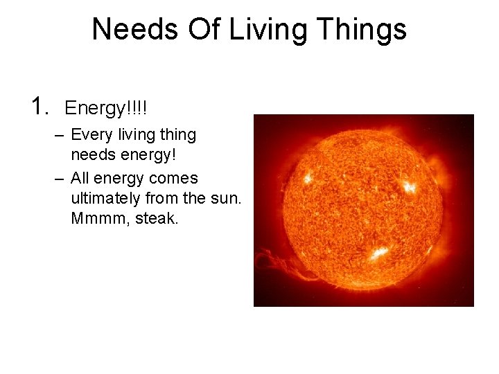 Needs Of Living Things 1. Energy!!!! – Every living thing needs energy! – All