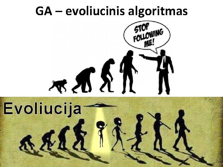 GA – evoliucinis algoritmas Evoliucija 