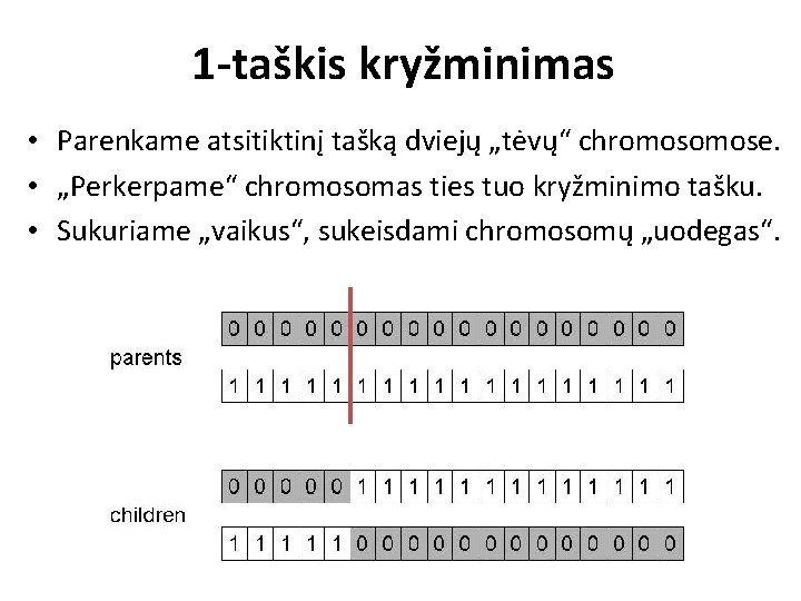 1 -taškis kryžminimas • Parenkame atsitiktinį tašką dviejų „tėvų“ chromose. • „Perkerpame“ chromosomas ties