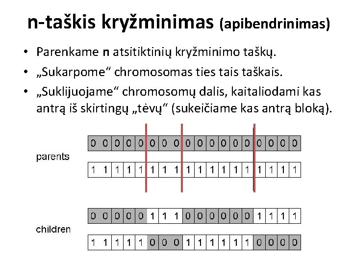 n-taškis kryžminimas (apibendrinimas) • Parenkame n atsitiktinių kryžminimo taškų. • „Sukarpome“ chromosomas ties tais