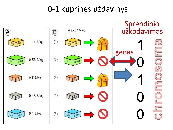 0 -1 kuprinės uždavinys 1 genas 0 1 0 0 chromosoma Sprendinio užkodavimas 