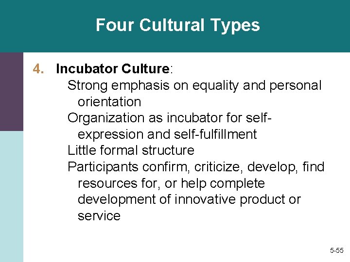 Four Cultural Types 4. Incubator Culture: Strong emphasis on equality and personal orientation Organization