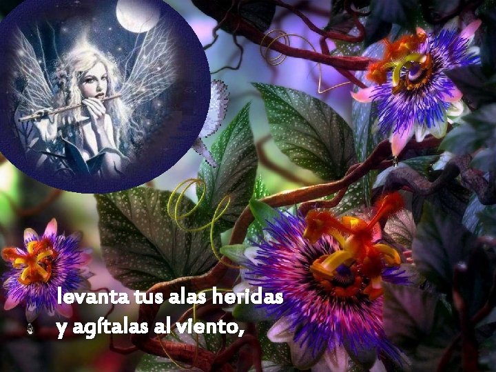 levanta tus alas heridas y agítalas al viento, 