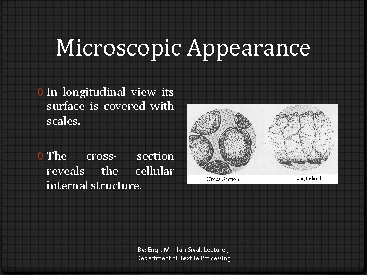 Microscopic Appearance 0 In longitudinal view its surface is covered with scales. 0 The