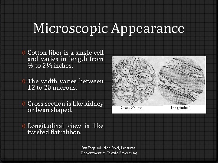 Microscopic Appearance 0 Cotton fiber is a single cell and varies in length from