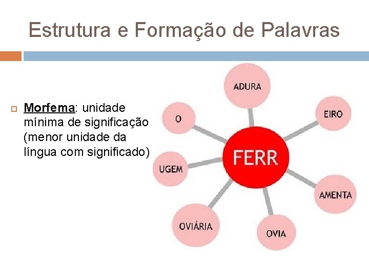 Estrutura e Formação de Palavras Morfema: unidade mínima de significação (menor unidade da língua